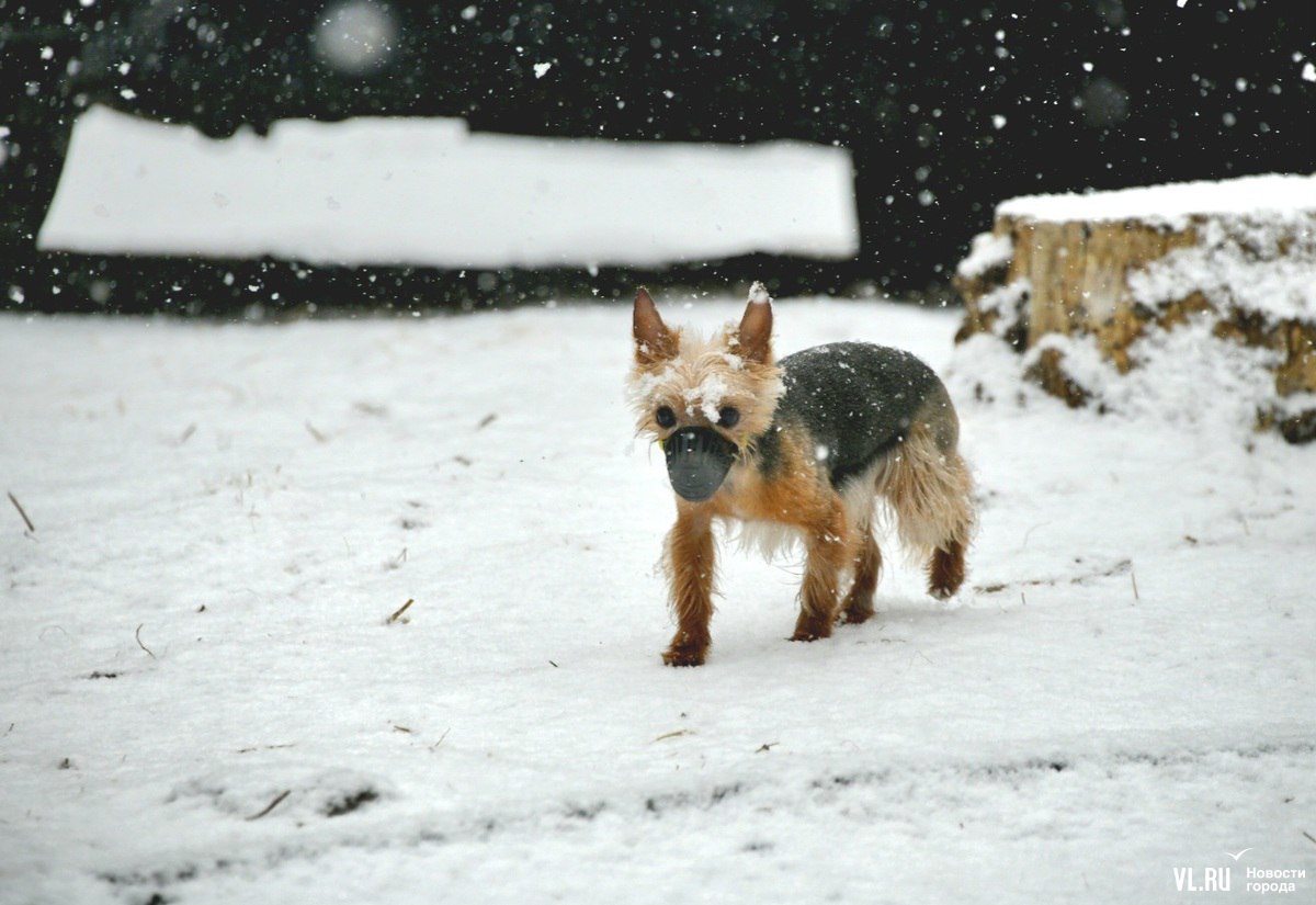 Доброе утро! Сегодня суббота, 13 декабря