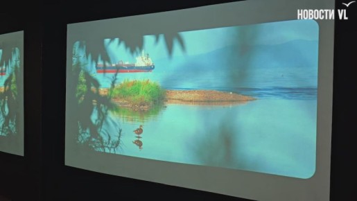 Почти медитация: во Владивостоке открылась выставка «Гимны города», посвящённая звучанию двух столиц