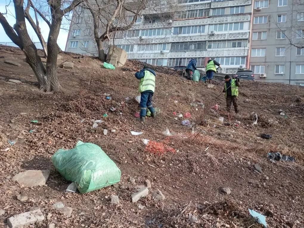 Наводим порядок в краевой столице Наводим порядок в краевой столице