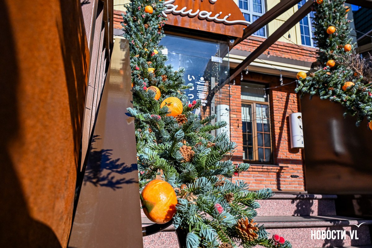 Огни, ёлки, телевизор «Рубин»: центр Владивостока украшают к Новому году Огни, ёлки, телевизор «Рубин»: центр Владивостока украшают к Новому году