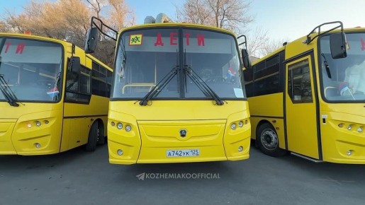 Парк школьных автобусов Приморья пополнился 40 новыми машинами