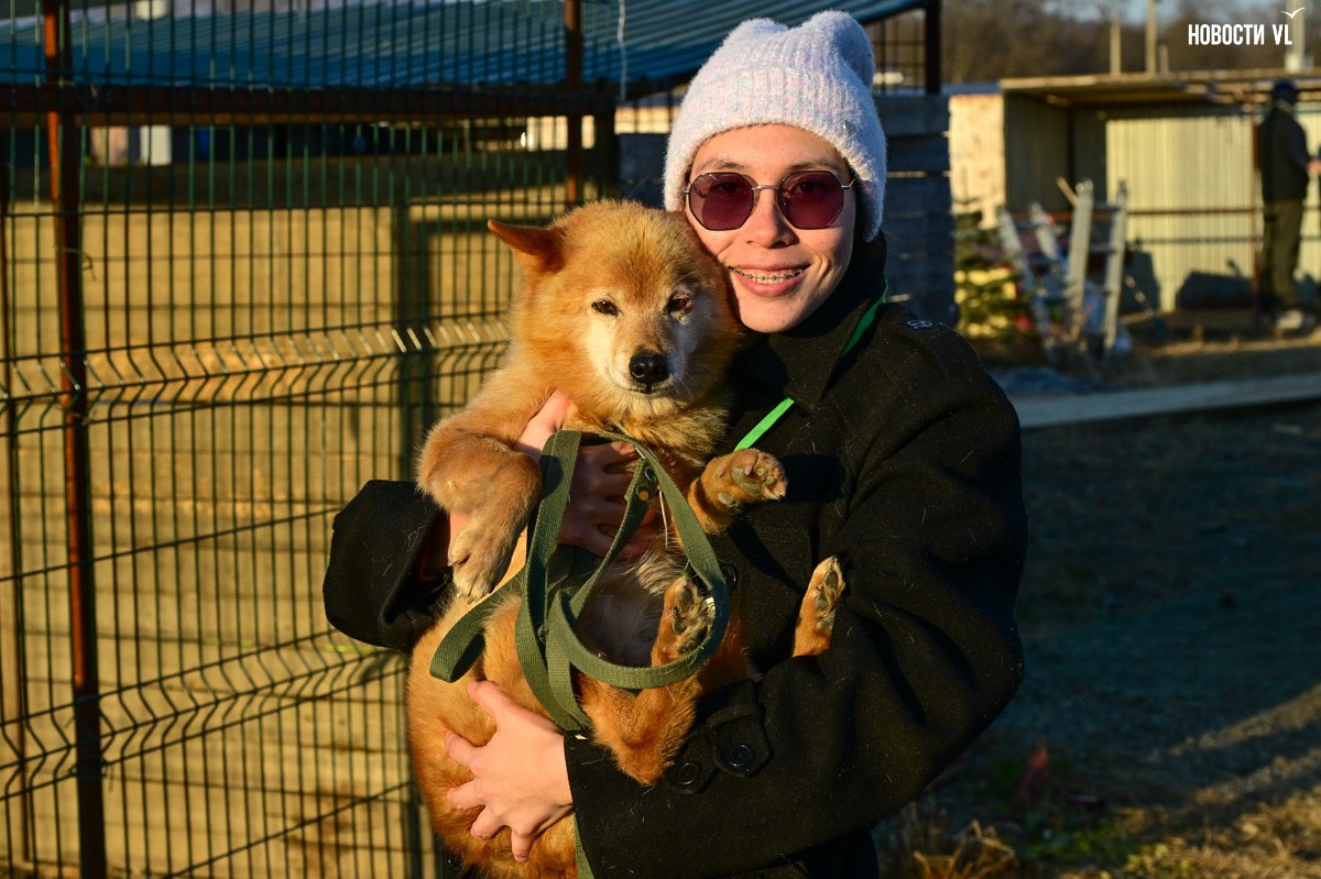 «Надо помогать – вот и всё»: более 100 собак из приюта в Приморье ждут волонтёров, опекунов или будущих хозяев «Надо помогать – вот и всё»: более 100 собак из приюта в Приморье ждут волонтёров, опекунов или будущих хозяев