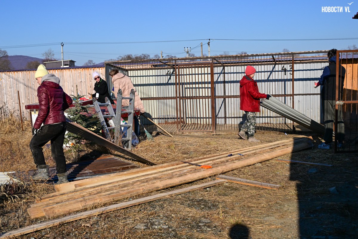 «Надо помогать – вот и всё»: более 100 собак из приюта в Приморье ждут волонтёров, опекунов или будущих хозяев «Надо помогать – вот и всё»: более 100 собак из приюта в Приморье ждут волонтёров, опекунов или будущих хозяев