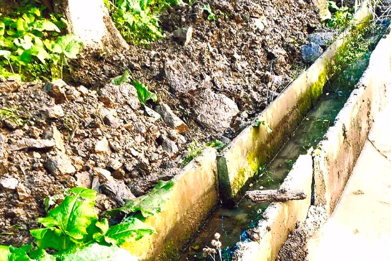 ТОС реализует свои инициативы с помощью краевого гранта ТОС реализует свои инициативы с помощью краевого гранта