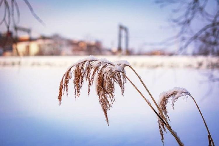 Похолодание ожидается во вторник в столице Приморья