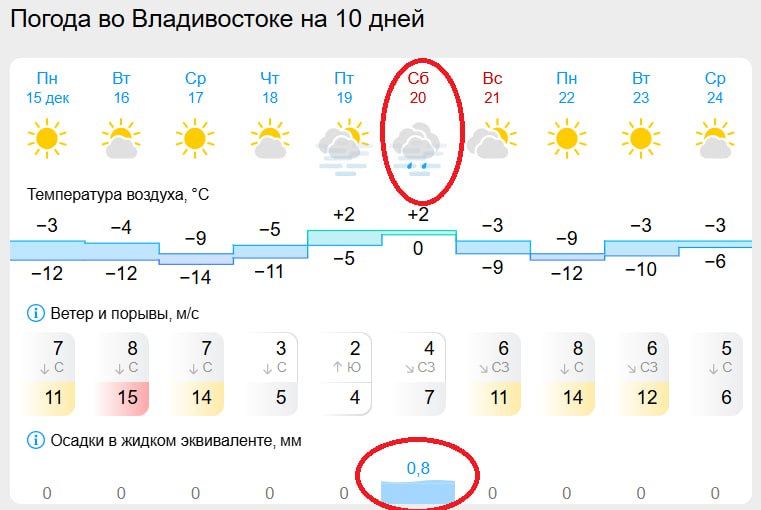 Ледяной дождь обрушится на Приморье Дождь с понижением температурного фона превратится в замерзающий дождь