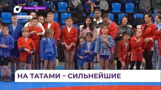 Во Владивостоке прошёл финал гран-при по самбо на Кубок губернатора Приморья