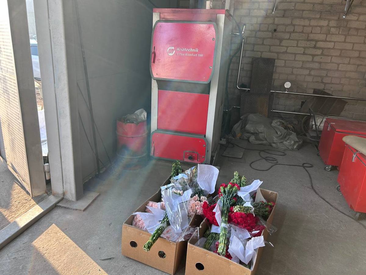 В Приморье сожгли 33 тысячи гвоздик из Китая В Приморье сожгли 33 тысячи гвоздик из Китая