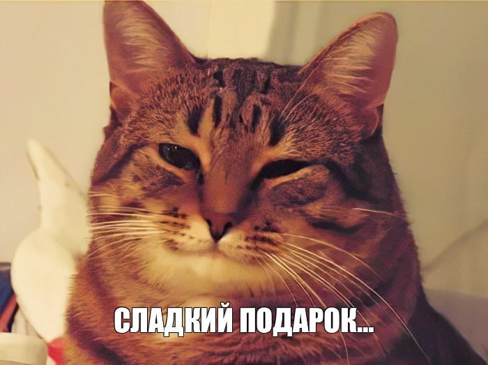 Сладкие новогодние подарки для детей, которые не ходят в сад или школу, начнут выдавать во Владивостоке с 22 декабря