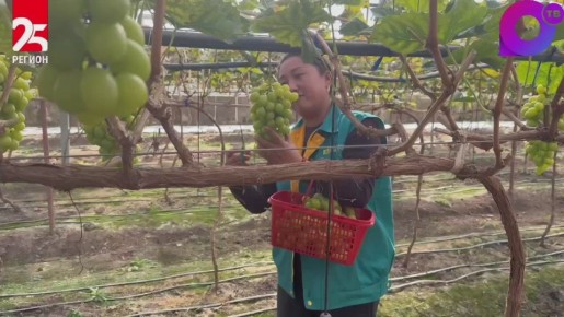 Приморцам открыли туристический маршрут в город Чанчунь