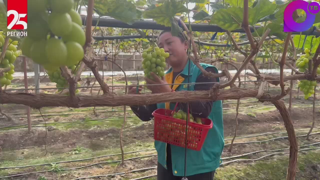Приморцам открыли туристический маршрут в город Чанчунь