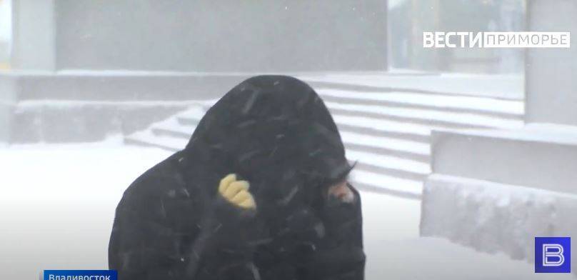 Два мощных циклона выйдут на Приморье до Нового года "Сильный ветер и сильный снег, может спровоцировать настоящую пургу с плохой видимостью