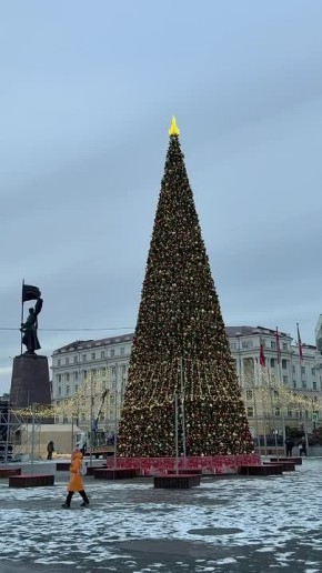 ��� 25 ������� �� ����������� ������� ��������� ����������� �������