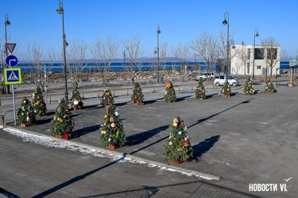 На Батарейной возле национального центра «Россия» (бывший океанариум) установили ёлки, украшенными самодельными игрушка