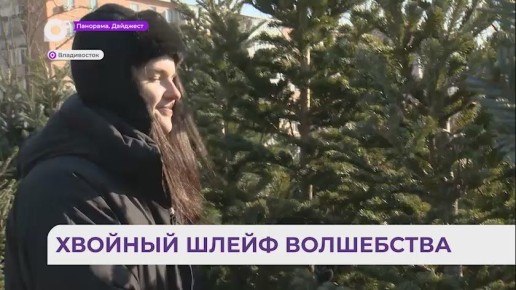 На ёлочных базарах Владивостока представлен парад новогодних красавиц