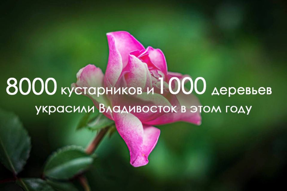 ����� 8 ����� ����������� � ���� ������ �������� �������� ����������� � ���� ����