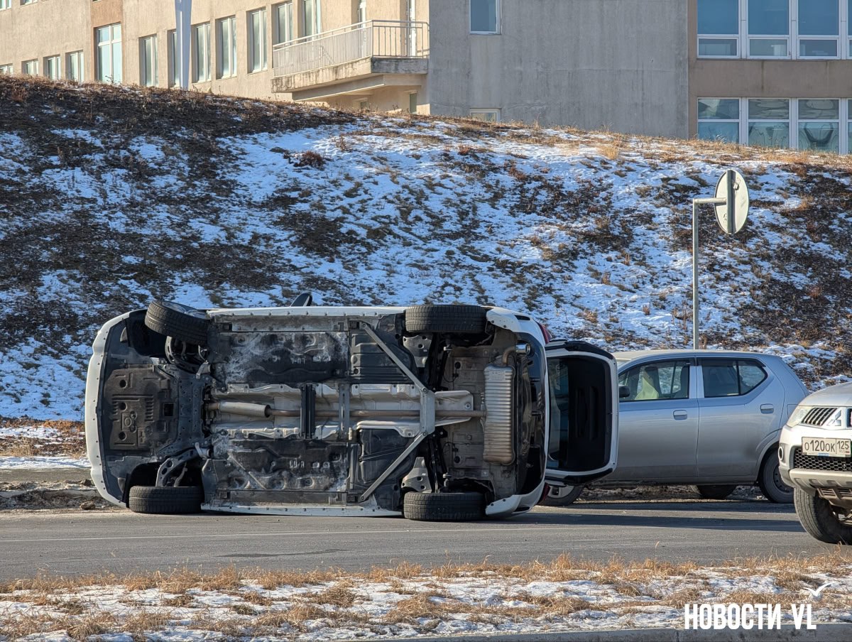 На Русском острове возле центрального входа в кампус ДВФУ произошло ДТП На Русском острове возле центрального входа в кампус ДВФУ произошло ДТП