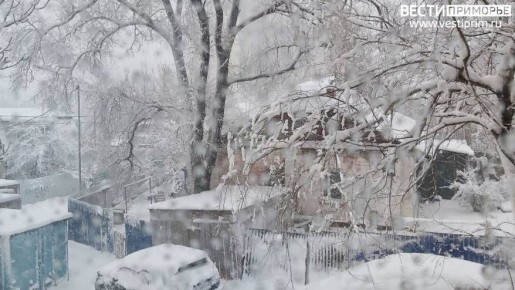 СНЕГ, ДОЖДЬ, ГОЛОЛЕД: ЦИКЛОН ИЗ КИТАЯ НЕСЁТ МАССУ ПОГОДНЫХ "СЮРПРИЗОВ" В ПРИМОРЬЕ ...