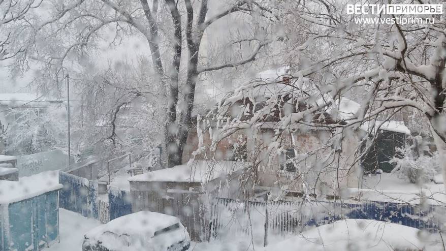 СНЕГ, ДОЖДЬ, ГОЛОЛЕД: ЦИКЛОН ИЗ КИТАЯ НЕСЁТ МАССУ ПОГОДНЫХ "СЮРПРИЗОВ" В ПРИМОРЬЕ ...