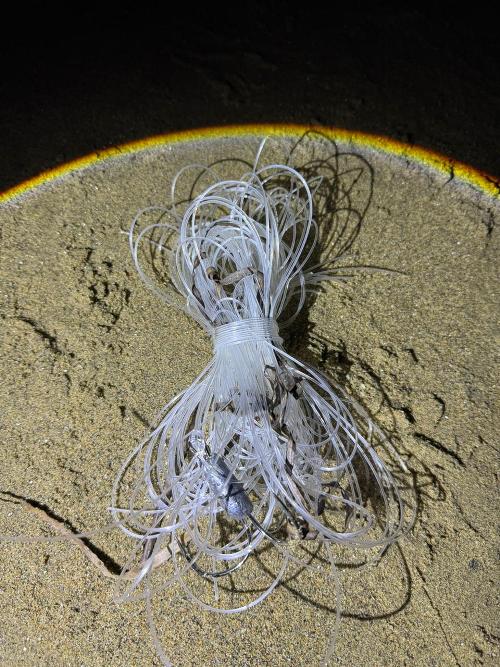 Транспортной полицией Уссурийска завершено расследование двух уголовных дел о незаконном вылове водных биологических ресурсов Транспортной полицией Уссурийска завершено расследование двух уголовных дел о незаконном вылове водных биологических ресурсов