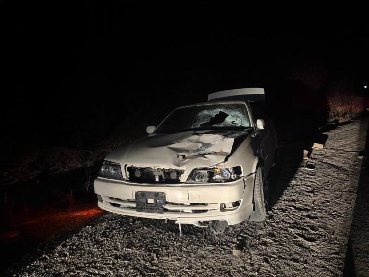 Виновника пьяного ДТП в Смоляниново, в котором погибли два пешехода, отправили в колонию