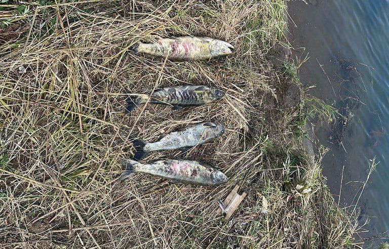 ������������ �������� ���������� ��������� ������������� ���� ��������� ��� � ���������� ������ ������ ������������� ��������