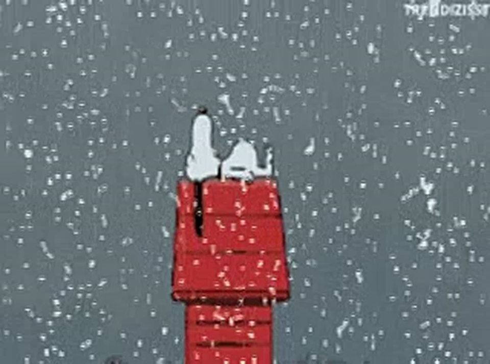 �� ������������ 23 ������� ����� ����� ���� � �� ���� �������� ��������� �������������