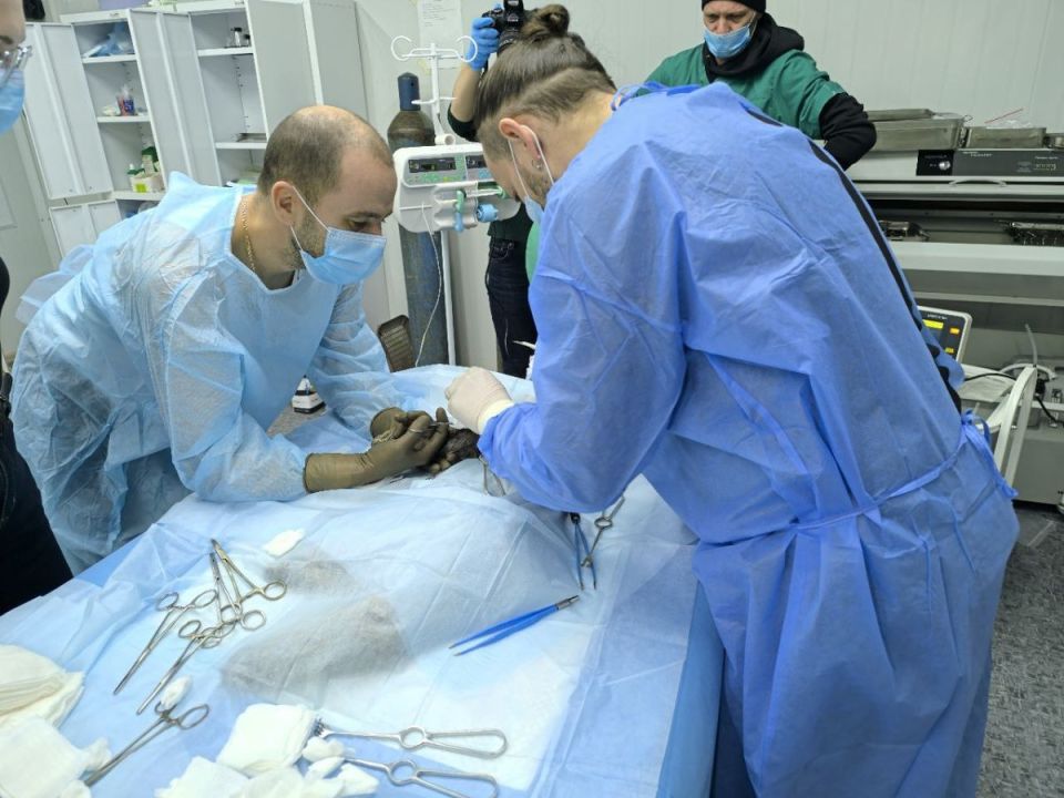 � ������ ����� �������������� ���������������� ������� ���� �� ��������� �����