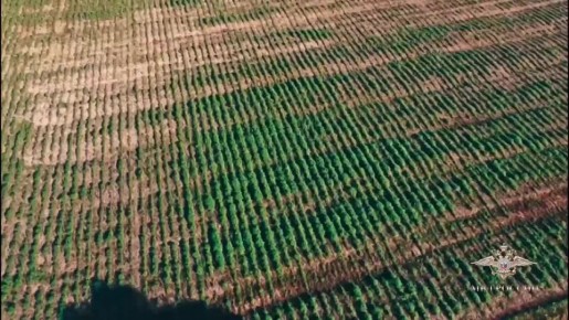 ����� ����: ����� 160 ����������� ���������, ����� 9 ����������� ��������� ����� � ������ ��������, ������� ������������������ ��������, ������ ��� ������� �� ���� ��� ������ ��������� � ������������ �� ����������� ����