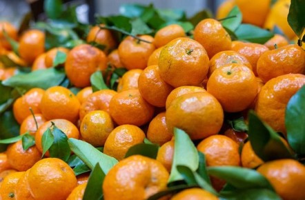Взрослому человеку, у которого нет проблем со здоровьем, можно съедать по 4-6 мандаринов в день