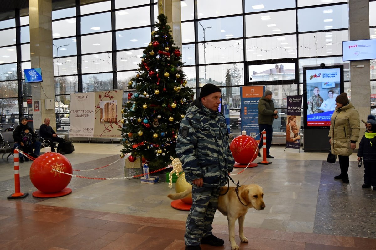 В Пензе сотрудники транспортной полиции обеспечили правопорядок во время стоянки «Поезда Деда Мороза» В Пензе сотрудники транспортной полиции обеспечили правопорядок во время стоянки «Поезда Деда Мороза»