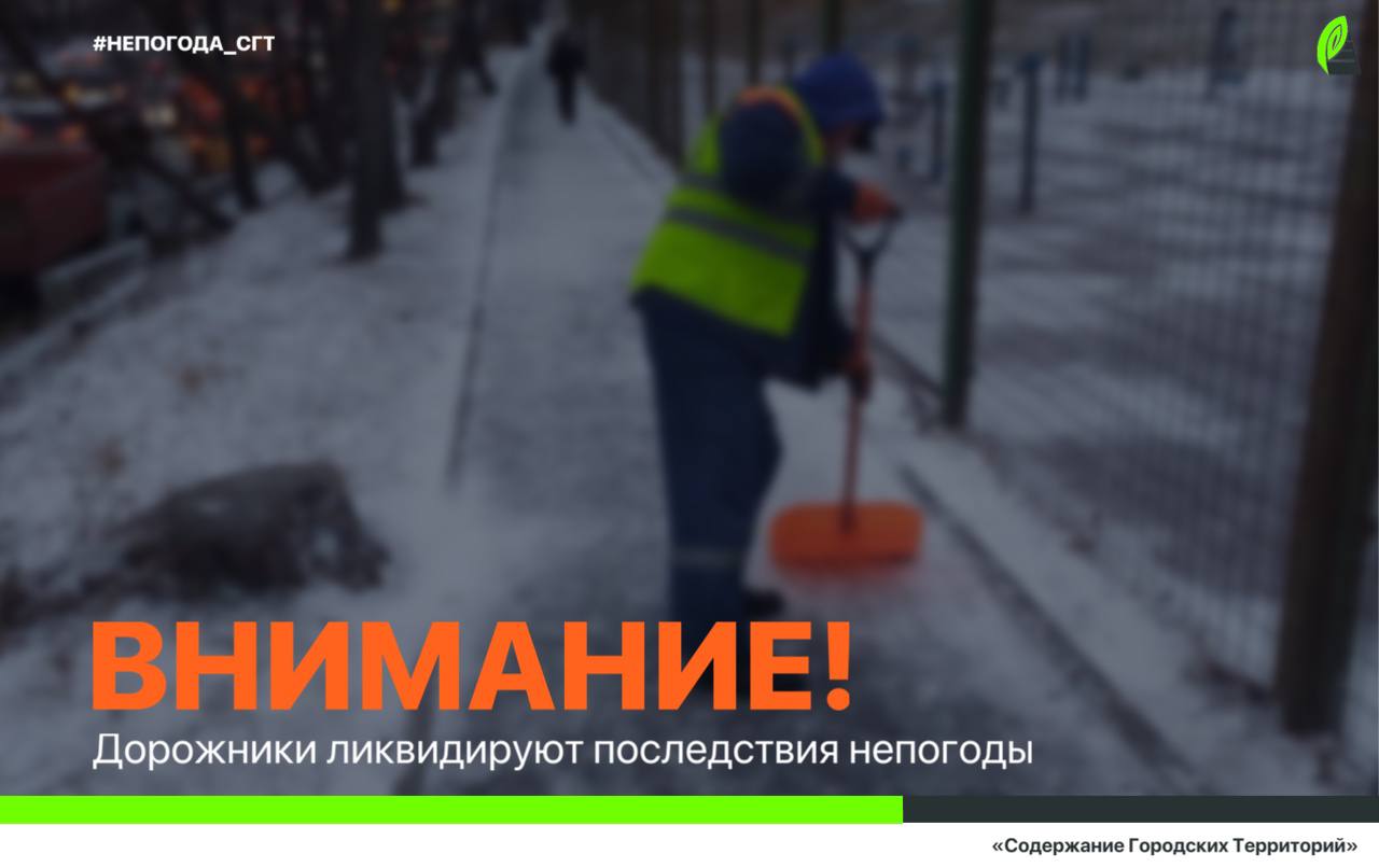 Бригады городской службы продолжают ликвидировать последствия непогоды