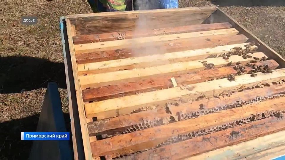 ���� ������: ������� ������� ������ �� ���������� �������� ...