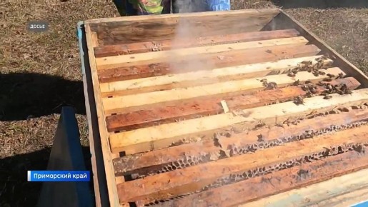 ���� ������: ������� ������� ������ �� ���������� �������� ...