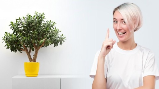 ������� ��� �� �������: ����� ���� ������ ����� �������� �������� ������