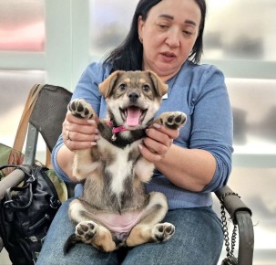 64 �������� ������ ���� ���