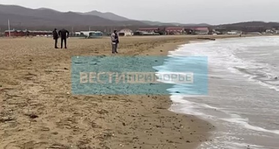 Сезон катания на сапах во Владивостоке не закрывают даже зимой