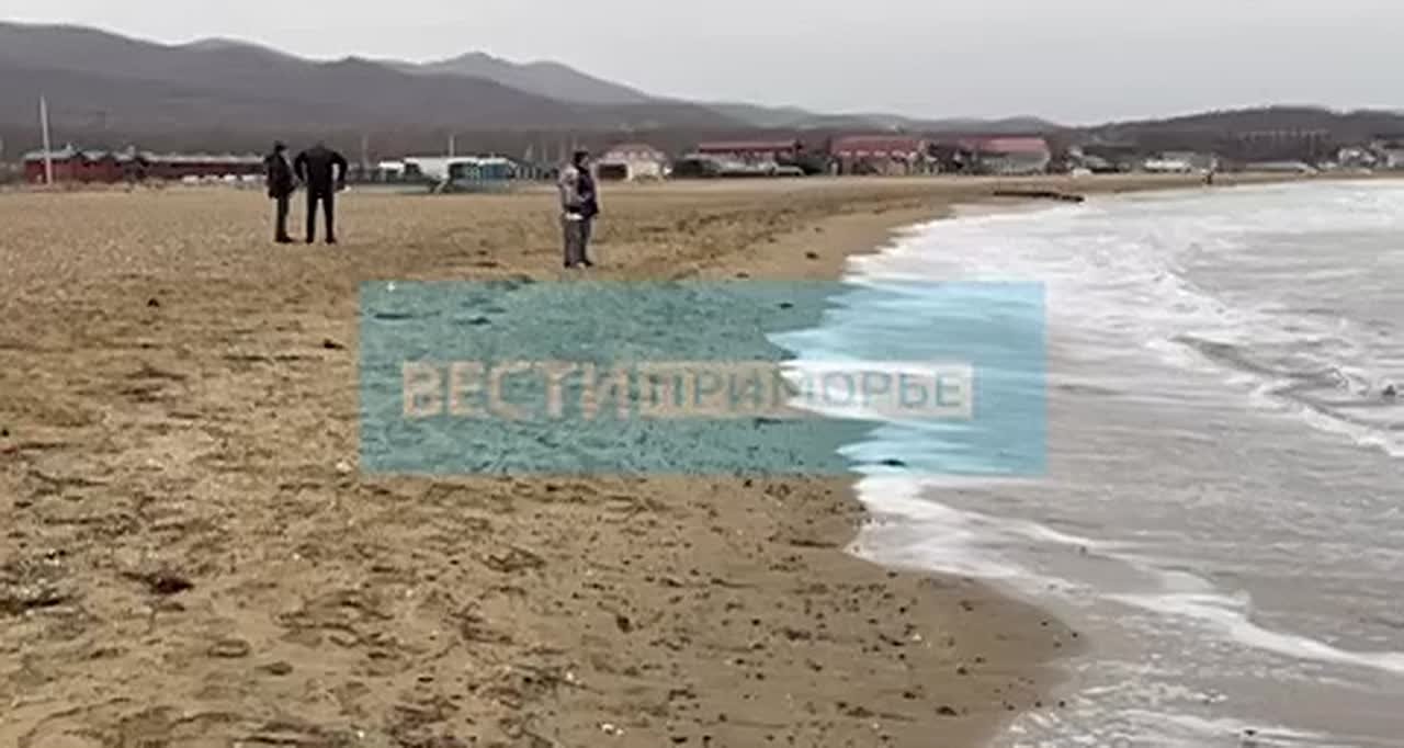 Сезон катания на сапах во Владивостоке не закрывают даже зимой