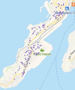 В связи с неисправностью в сетях АО «ДРСК» временно ограничены от услуги электроснабжения жители домов по улицам Сипягина, Севастопольская, Леонова, Крыгина города Владивостока