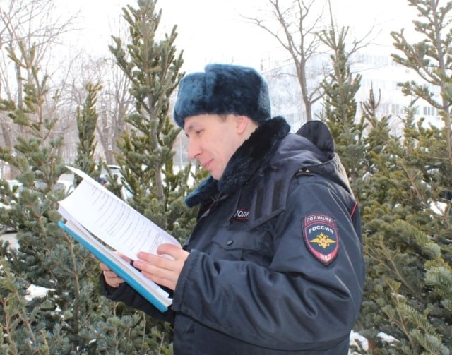 Полицейские Артема проводят рейды по пресечению фактов торговли елками в неположенных для этого местах Полицейские Артема проводят рейды по пресечению фактов торговли елками в неположенных для этого местах