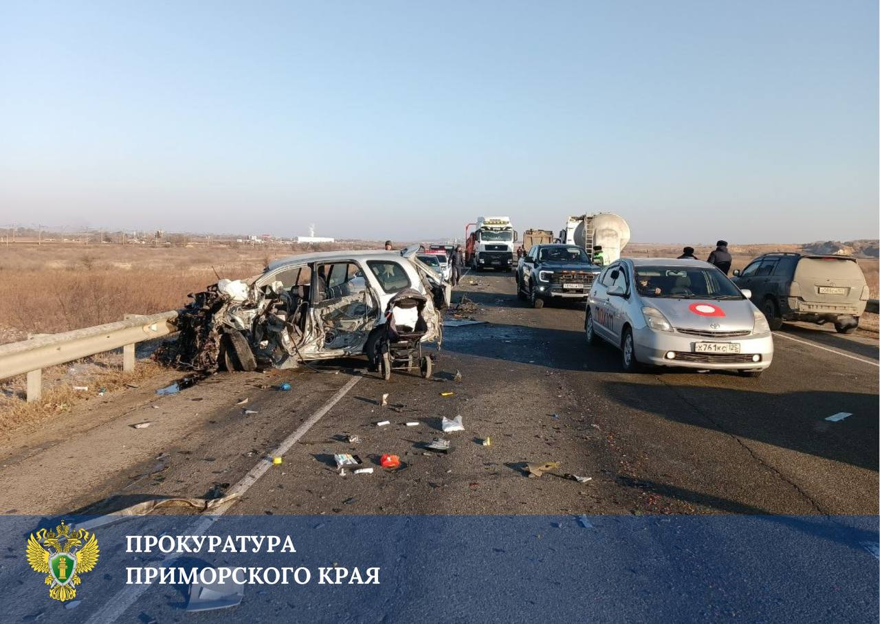 Прокуратура поставила на контроль проверку по факту ДТП, в котором погиб малолетний ребёнок Прокуратура поставила на контроль проверку по факту ДТП, в котором погиб малолетний ребёнок