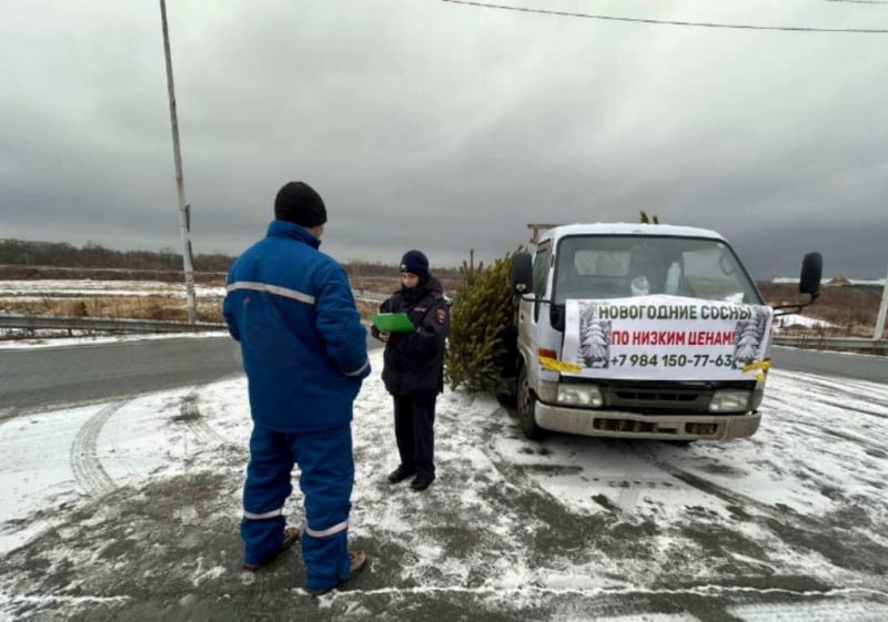 Полицейские Артема проводят рейды по пресечению фактов торговли елками в неположенных для этого местах