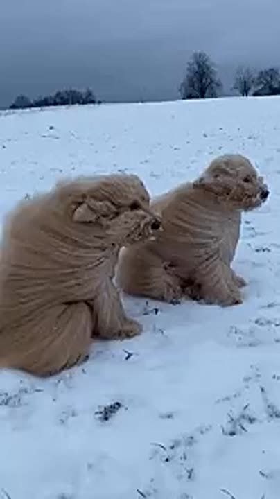 ������ �������� ������� ������ � �����, ������������� ������������