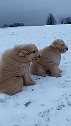 ������ �������� ������� ������ � �����, ������������� ������������