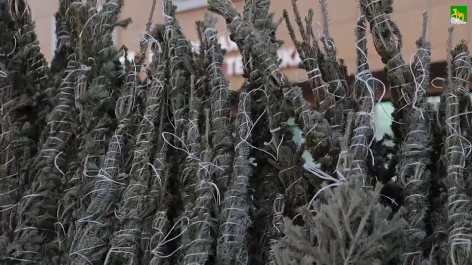 ���������� ������� ���� ��������� �� ������������