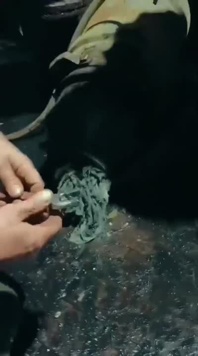 � ��� ���� ��������� ��������: ������������ ������������ ������� ���