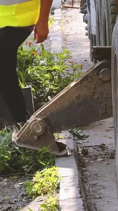 ���������� ��������: ������� ���������� ���� ����������