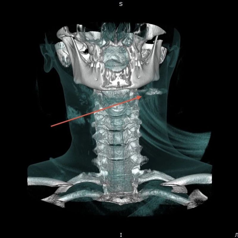 � ������� ��������� �������� ���� � ���, ����� � ����������