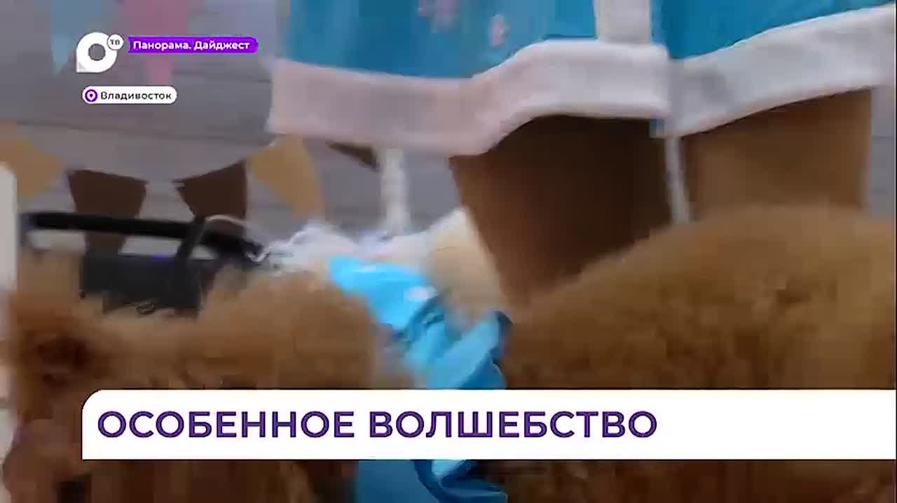 Новогодний праздник для детей с инвалидностью прошёл во Владивостоке