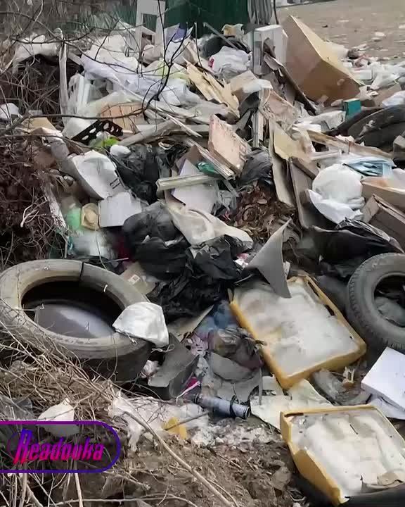 ������ �� ������� ������� �������� �������� � �������� � ����� ����������� ���� ������ ���������� ���